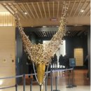 천마의원 | "'한능검' 4번 제니 덕에 풀었어요"...한능검 77회 뒷이야기 화제