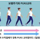 마스타자동차동아카 | 키네틱체인, 보행주기와 천장관절의 PI/AS교차 -표준