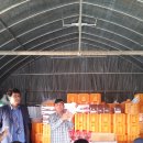 도라산농장 이미지