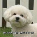 호텔저스트슬립 이미지