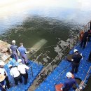 하동남부발전소 하동화력본부 이미지