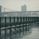 고웰치과의원 이미지