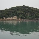 완도 주도 상록수림 이미지