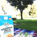 바람공원_R 이미지