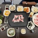 진베리코 이미지