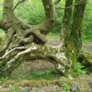 성돌목장 이미지