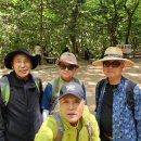 제263차 鳥嶺溪谷 5.2(木) 木曜山行 이미지