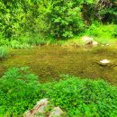 가평라포레계곡수영장스파펜션 이미지