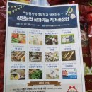 화천미니사과
