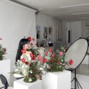 용봉동물병원 | 광주 전남대 용봉동 사진관 꽃 프로필 사진 추천 🌺📷 [해담 사진관]