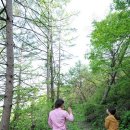 여우숲 - 해운대구 해운대로483번길 3 | 여우숲