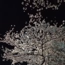 미평로 Daum카페