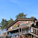 속초이모네 이미지