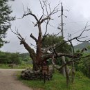 당산마을 화장실 이미지