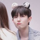 조은뮤직 이미지