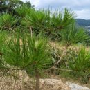 국보농장 이미지