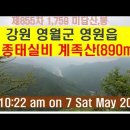 정종대왕태실비 이미지
