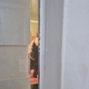 바오펫살롱 이미지