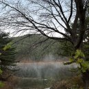 서산여행 수화림 내돈내산 후기