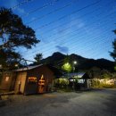 부여애견 이미지