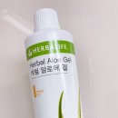 여주-0381 네이버블로그