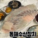 동해참치 - 안산시 단원구 | 철갑상어 회를 주는 스끼다시 회 맛집 당진 #동해수산참치 내돈내산 재재재방문후기