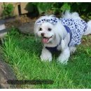 스위트몽 이미지