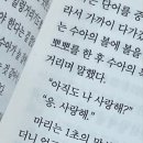 타이거샵 이미지