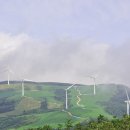 구름속의산책 Daum카페