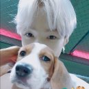 해피