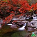 지리산 단풍 축제 가볼만한곳 - 지리산 뱀사골 단풍제 이미지