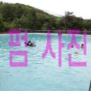 광덕농원 이미지