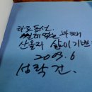 태양다실