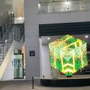 [블챌] 일상포토덤프 챌린지 3주차