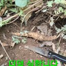 백두카페 티스토리