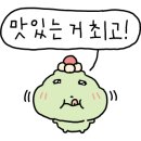 소노캄 델피노C 이미지