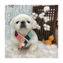 멍앤리치 이미지