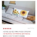 콤마소프트 | 장인가구 콤마 아쿠아텍스 방수 패브릭 소파 2인 후기 | 66% 할인에 리뷰 2,000개, 이유 있는 인기였어요