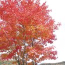 신안주공2차아파트 이미지