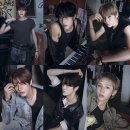 이지라이즈 티브이데일리
