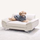 펫 아지트 | 몬스터 반려동물 펫소파 사용 후기 : 우리 강아지의 새로운 아지트!