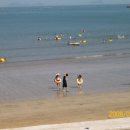 동고민박 이미지