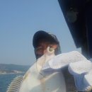 참가자미 이미지