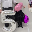 금아 | 은평구 아기 사진관, 고양시 아기 사진관 5세 아기 성장사진 프로필사진 셀프 사진관 <금아스튜디오>