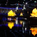 금어로1 이미지