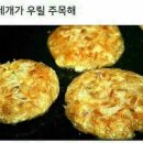 엔젤펫 이미지