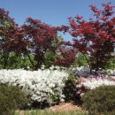 가좌근린공원 이미지