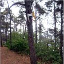 경북아파트 버스정류장 이미지