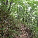 구룡령 옛길 이미지