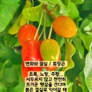 결실 티스토리